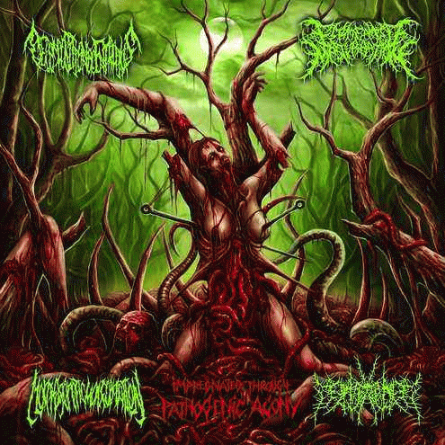 Decomposition Of Entrails : Impregnated Through Pathogenic Agony